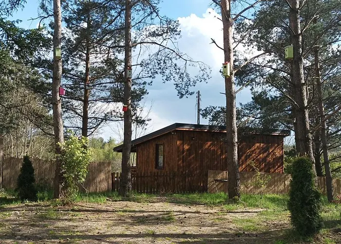 بيت للعطل Zielenina Lesny *